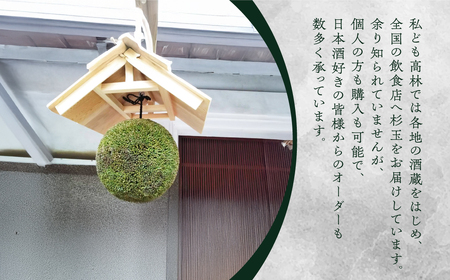 日本酒ライフに彩りを！杉玉直径30cm。自宅やお店のインテリアに。【67