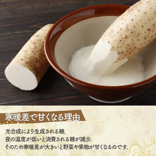 青森県産 冷凍長芋とろろパック 50g×15個【02402-0321】とろろ | 青森
