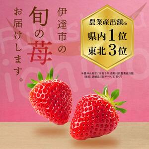 完熟いちご ほしうらら 約600g いちご イチゴ 苺 デザート フルーツ