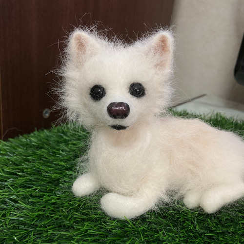 うちの子オーダー 受注制作 羊毛フェルト犬 チワワ 見本 羊毛フェルト