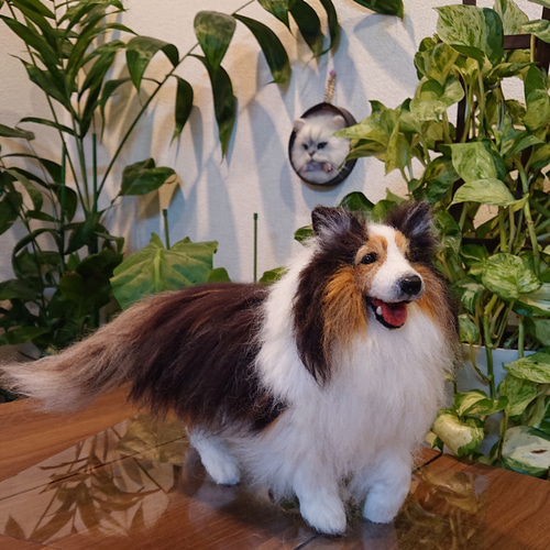 オーダー】羊毛フェルト 犬 猫 シェルティ ダックス ポメラニアン トイ