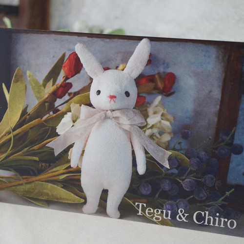 ぬいぐるみポストカード3枚セット ポストカード Tegu & Chiro 通販