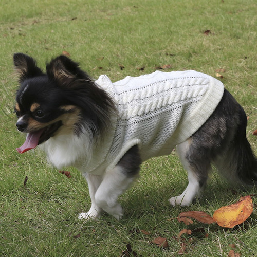 犬服 あったかニットセーター‼ アラン柄タートルネックセーター ペット