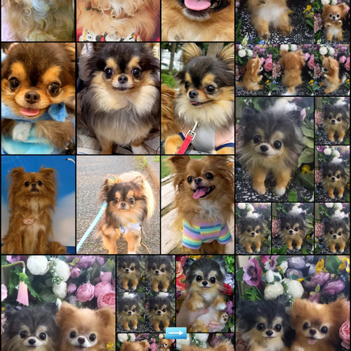 チワワ 実物大 リアル 分身 愛犬 ぬいぐるみ カズコオガワ ぬいぐるみ