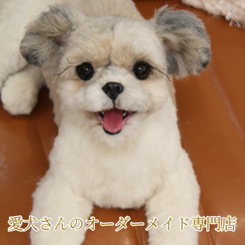 愛犬さんのオーダー》羊毛フェルト オーダー 犬 羊毛フェルト チワワ