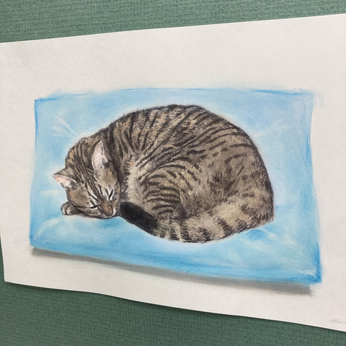 版画「丸まる猫（水色の座布団）」 版画 takeshiro painting 通販