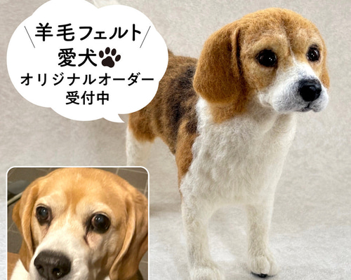 羊毛フェルト【オーダーメイド】うちの子オーダー✴︎犬✴︎愛犬