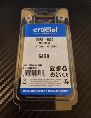 Crucial 64GB (2 x 32GB) 262-Pin DDR5 SO-DIMM DDR5 5600 Laptop