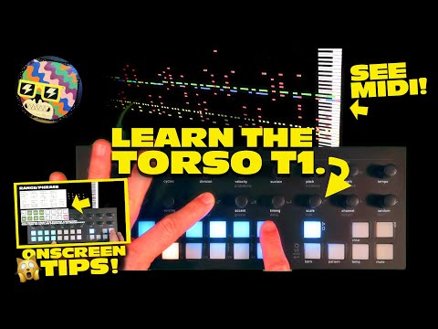 Torso T1 Algorithmic Sequencer – Cicada Sound