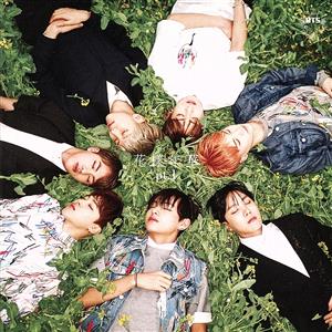 花様年華 pt.1(日本仕様盤)(DVD付) 中古CD | ブックオフ公式オンライン