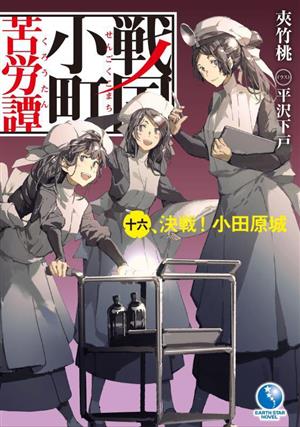 書籍全巻セット・まとめ買い】戦国小町苦労譚(単行本版)セット