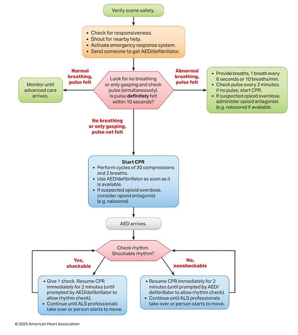 2025 Algorithms | American Heart Association CPR & First Aid