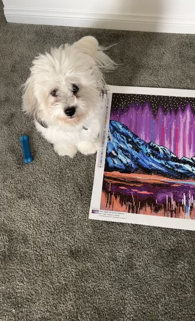 Aurora Beauty – Diamond Art Club
