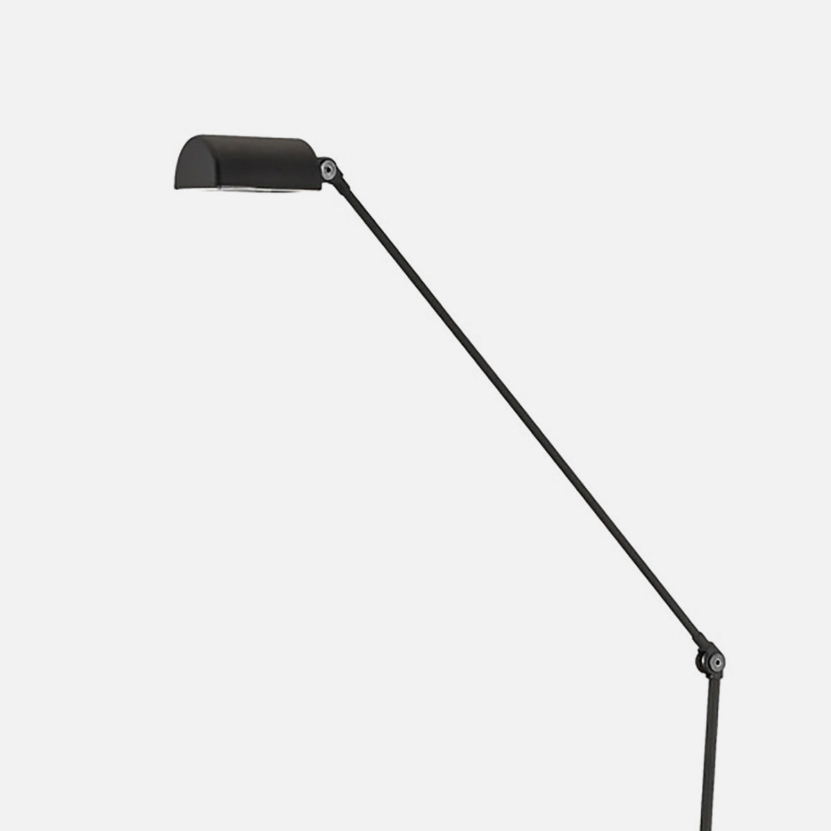 Lumina Daphine LED Floor Black ルミナ ダフィーネ LED フロア