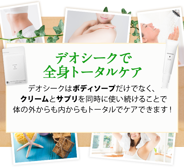 ボディソープ＜DEOSEEK＞ | 【公式】デオシーク｜わきが・足臭・全身