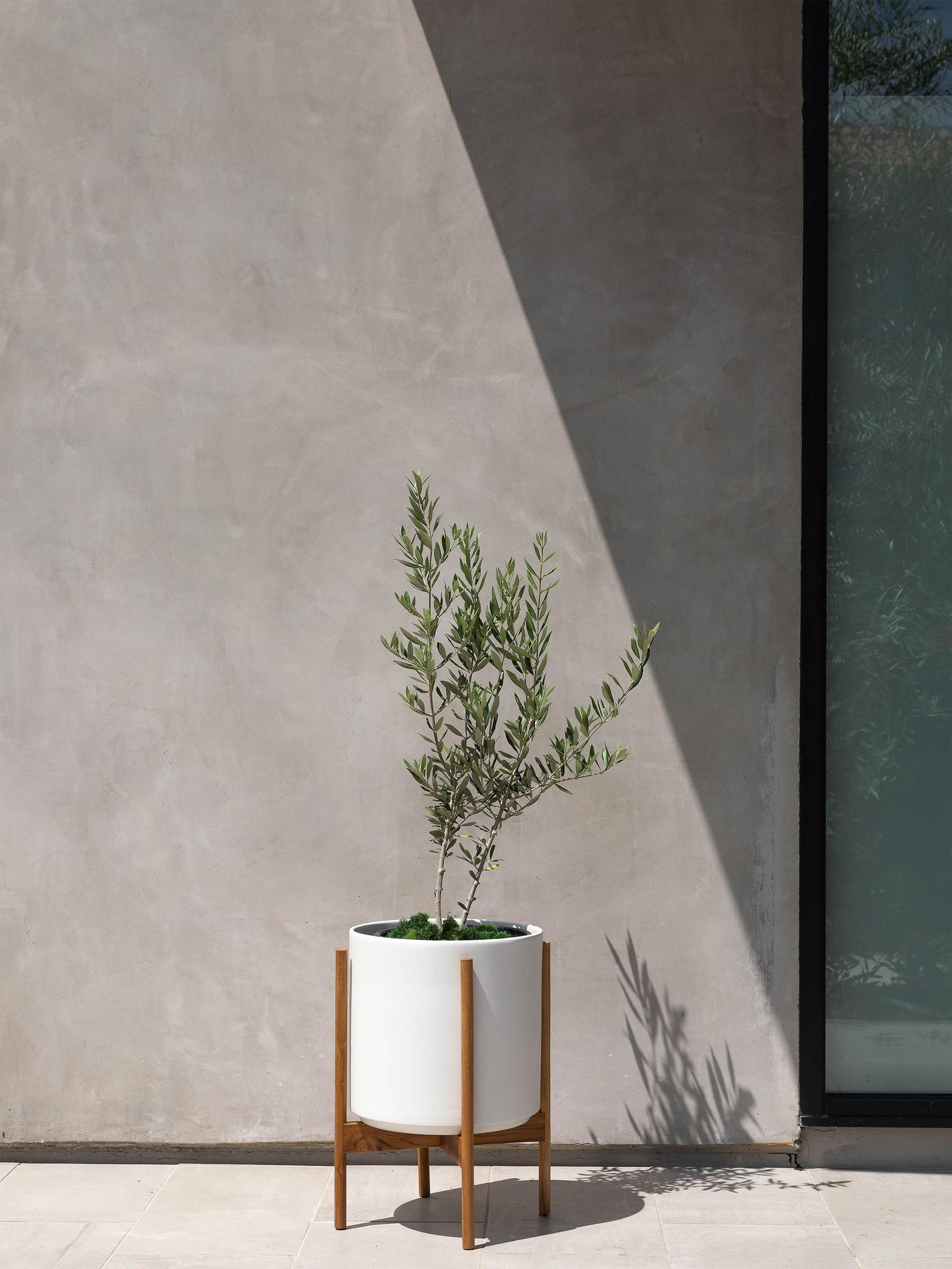 Olive Bush Large (2 ft tall) – White Mid-Century Ceramic & Light