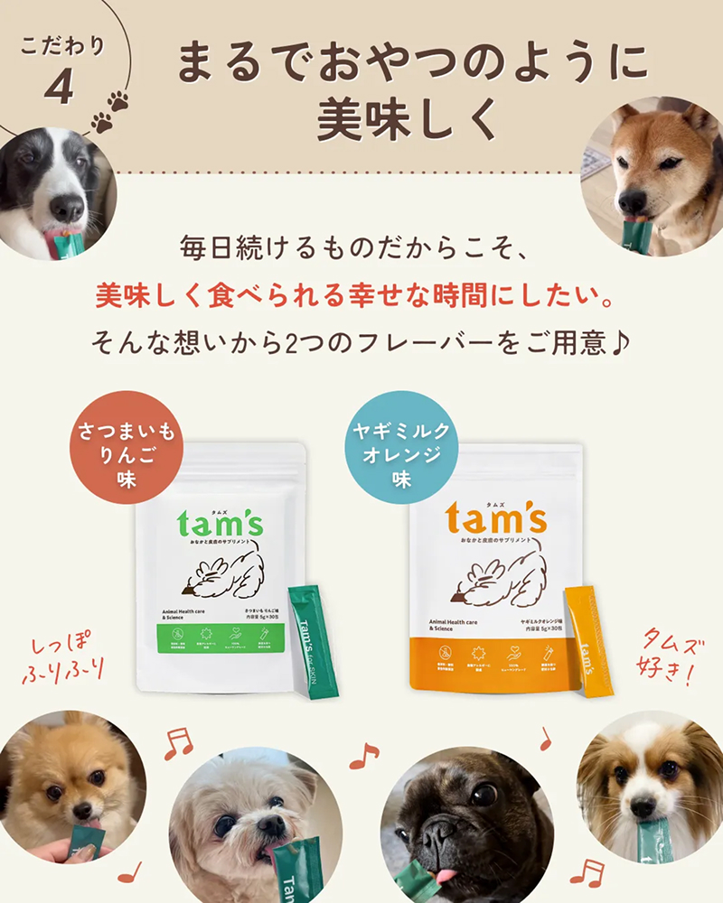 定期発送】tam's おなかと皮膚のサプリメント さつまいもりんご味 30包入り