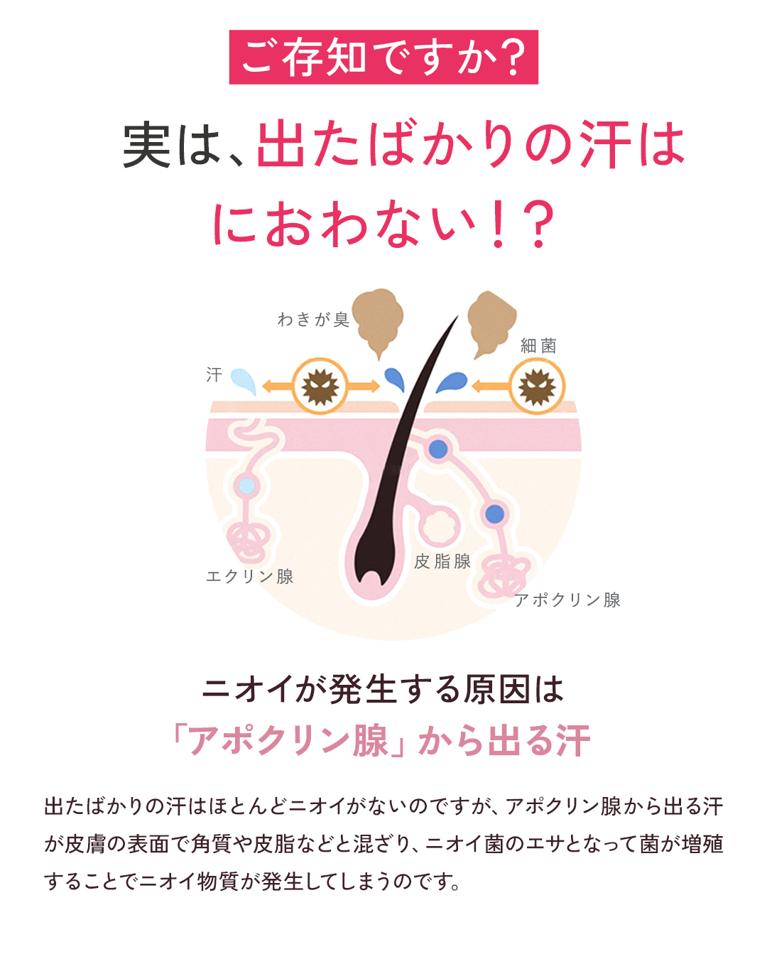 Cleante (クリアンテ)｜デオドラントクリーム｜美的ラボ《公式》