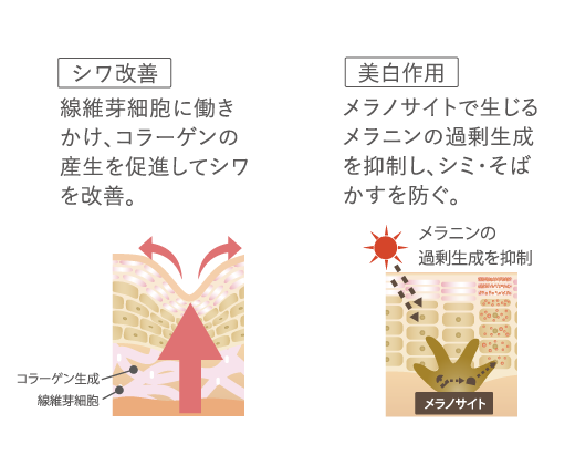 ドクターケイ 薬用Cリンクルホワイトミルク＜医薬部外品＞｜ドクター