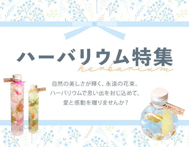 ハーバリウム｜大阪の専門店フルールドゥマカロン