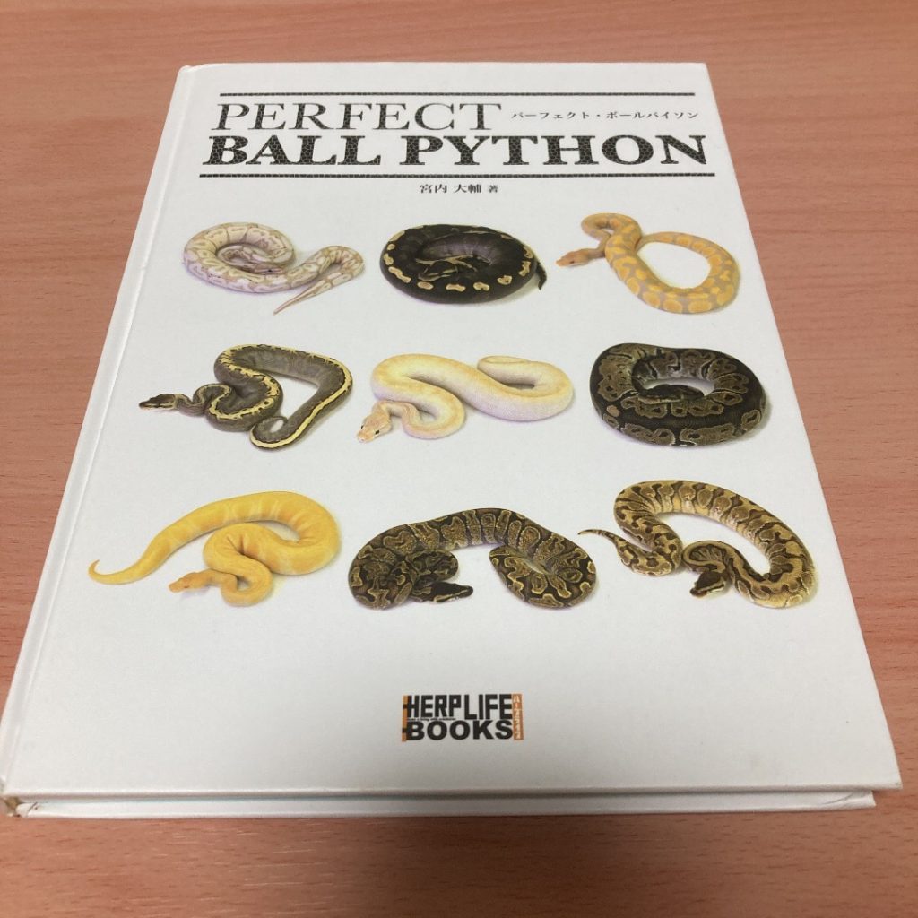 絶版】PERFECT BALLPYTHON パーフェクトボールパイソン 爬虫類 絶版