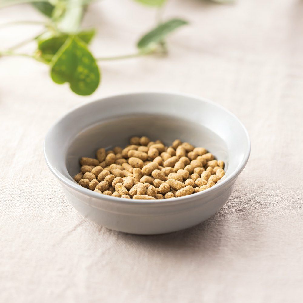 ドットわんごはん-Red mind-(120g)｜国産13種天然食材の総合栄養食