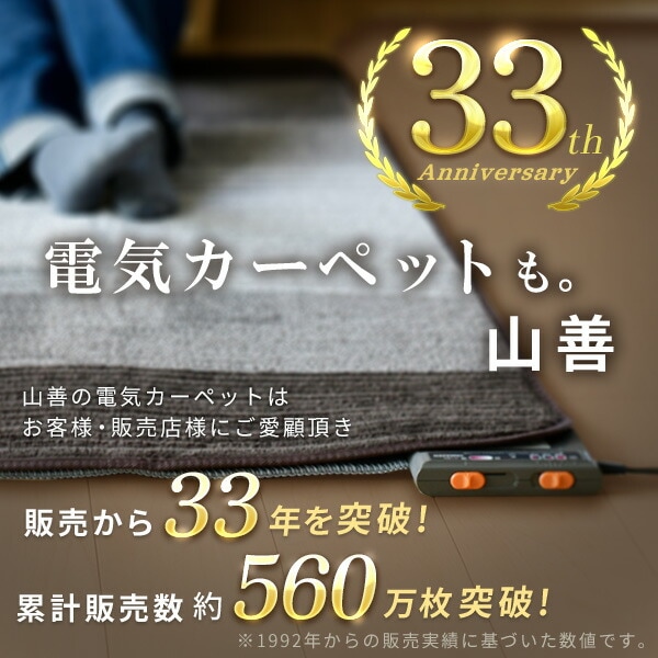 dショッピング |ホットカーペット フローリング調 2畳 ホット