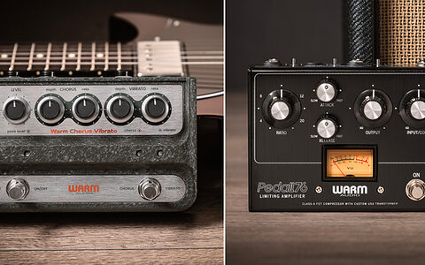 Warm Audio WA-C1 Chorus Vibrato & Pedal76 Compressor