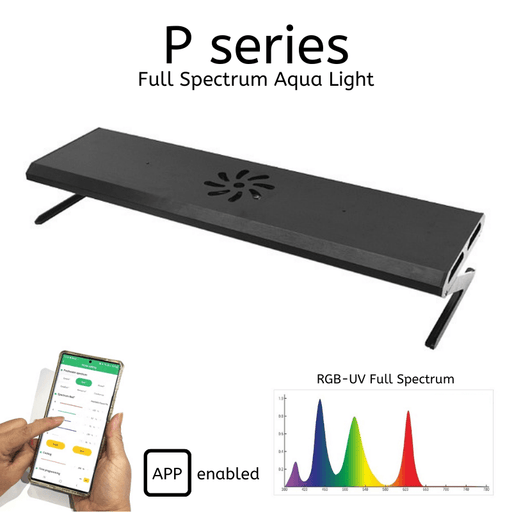 P-SeriesMain_512x512.png?v=