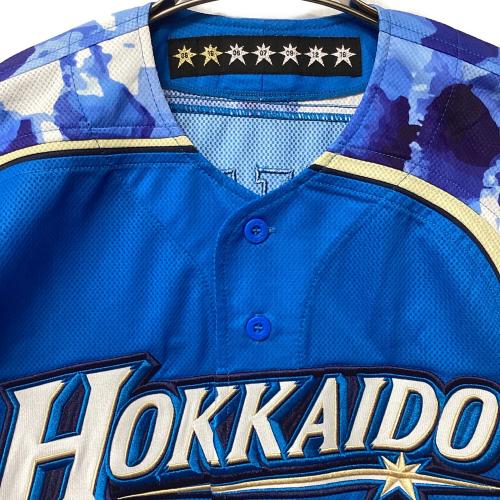北海道日本ハムファイターズ (ホッカイドウニッポンハムファイターズ