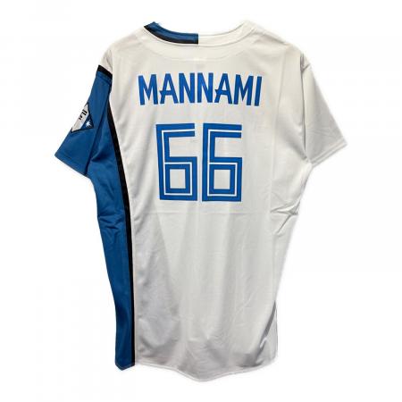 北海道日本ハムファイターズ (ホッカイドウニッポンハムファイターズ