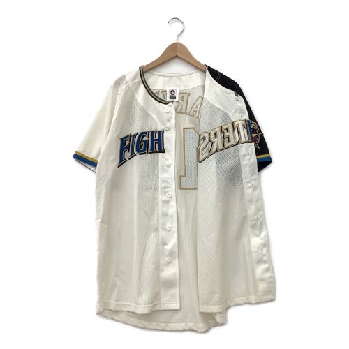 北海道日本ハムファイターズ (ホッカイドウニッポンハムファイターズ