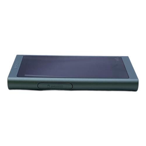 SONY (ソニー) WALKMAN NW-A55 動作確認・初期化済み｜トレファクONLINE