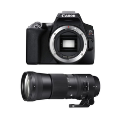 レンタル] CANON EOS Kiss X10とシグマの超望遠ズームレンズ(150-600mm