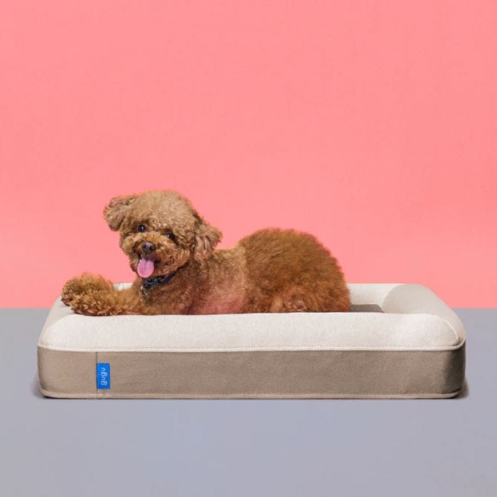 レンタル] gugu ドギー 犬用ベッド Sサイズ ベージュ - Rentio[レンティオ]