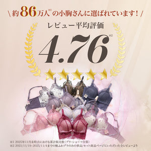 新色発売】Feliture極ふわブラ ミニョンレーシー -ブラ＆ショーツセット-