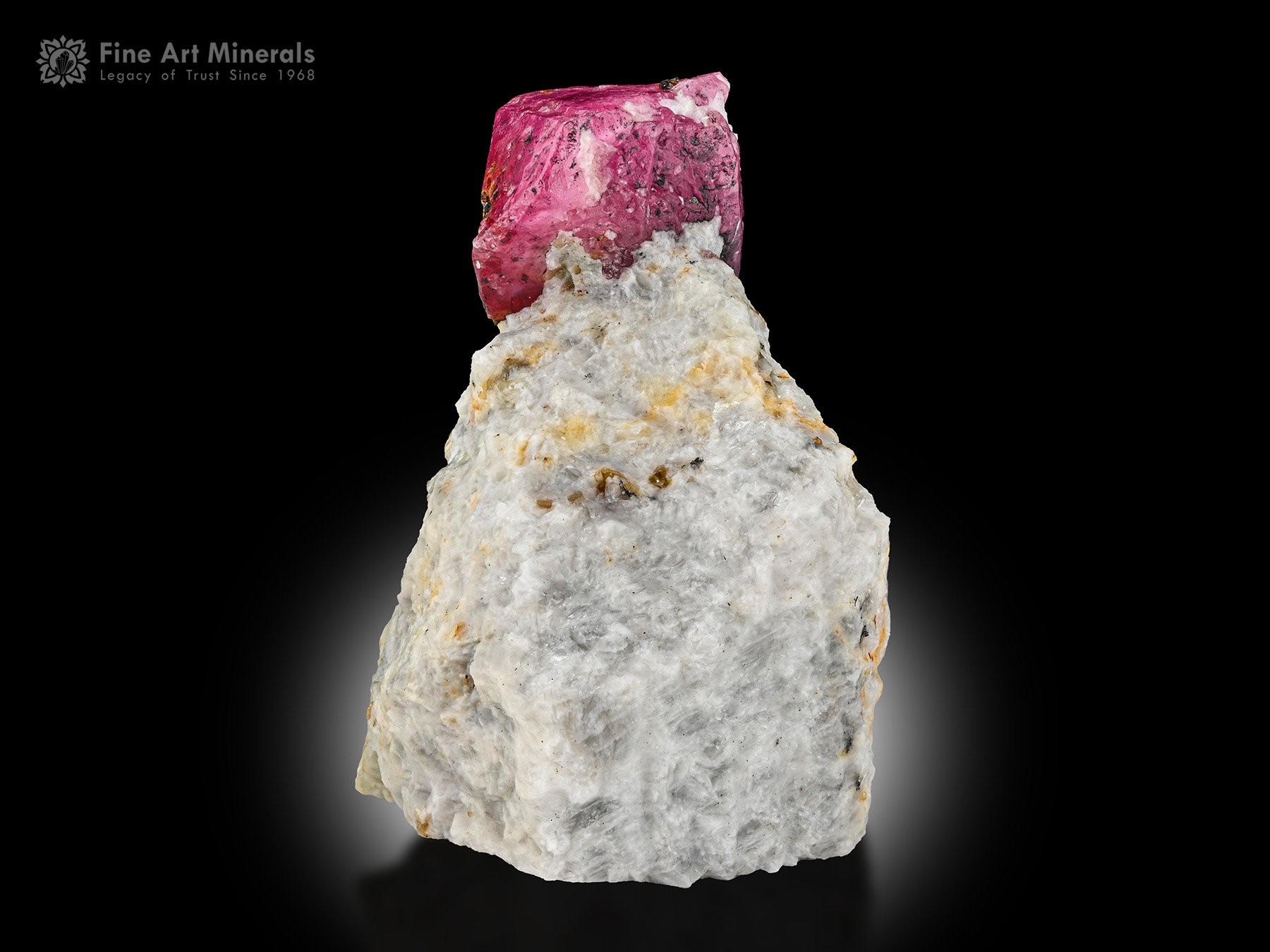 Ruby on Matrix - Afghanistan - RBY-06 - Fine Art Minerals