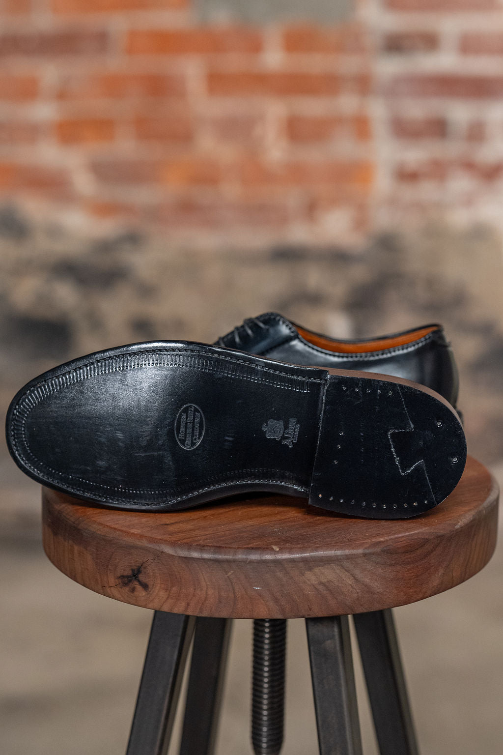 Alden 9901 Plain Toe Blucher - Black Shell Cordovan - Franklin & Poe