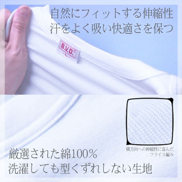 B.V.D.GOLD 天ゴムスタンダードブリーフ 2枚セット(S/M/L)G012-2P