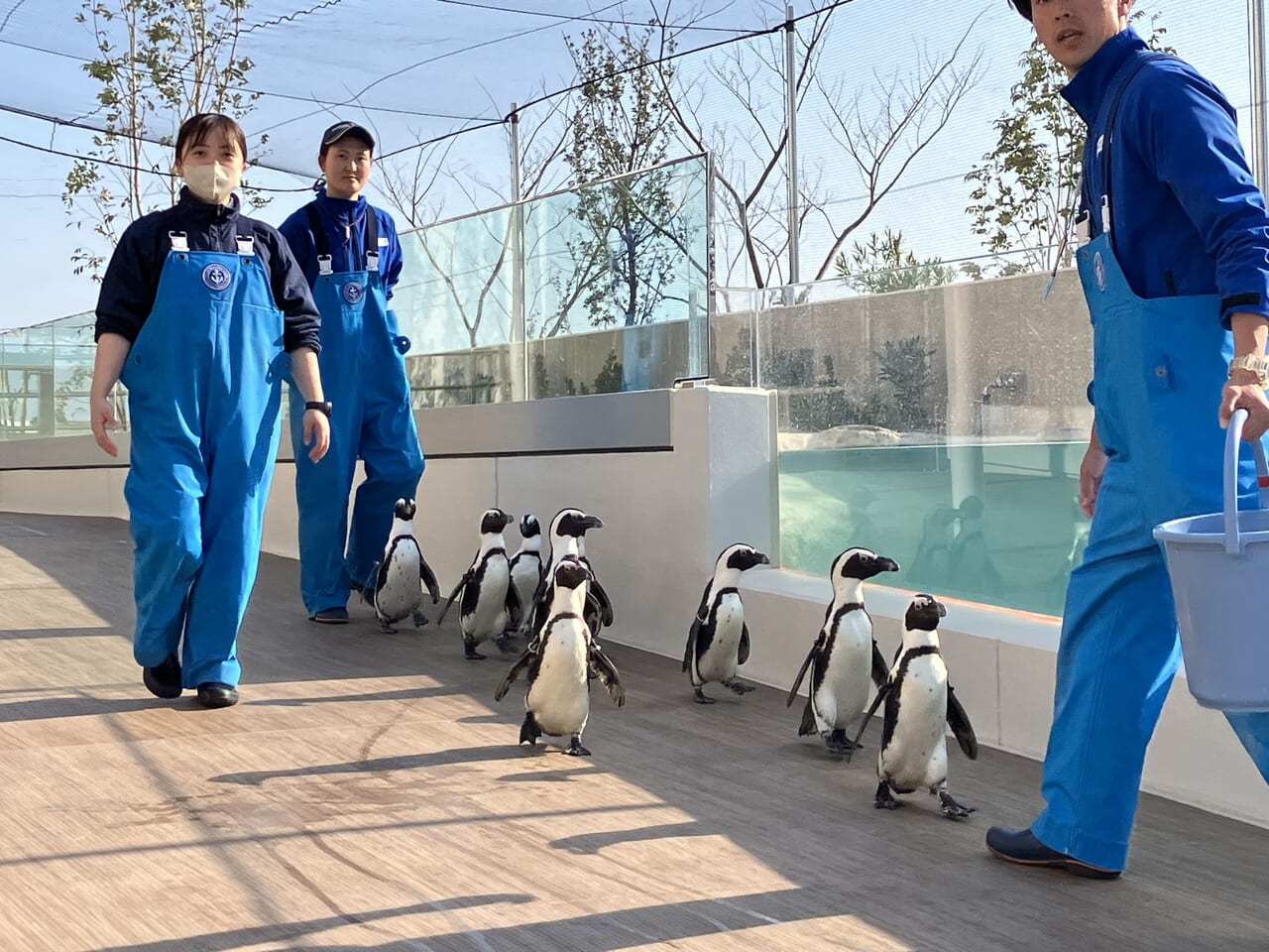 マリンワールド海の中道 額縁マグネット(ぜんぶリロ 第2弾