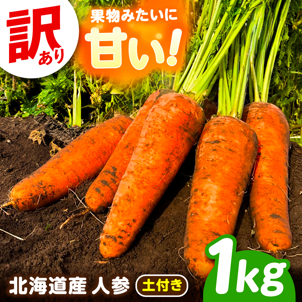 北海道 訳ありにんじん 1kg（土付き）《足寄町》【餌取農場】 北海道産