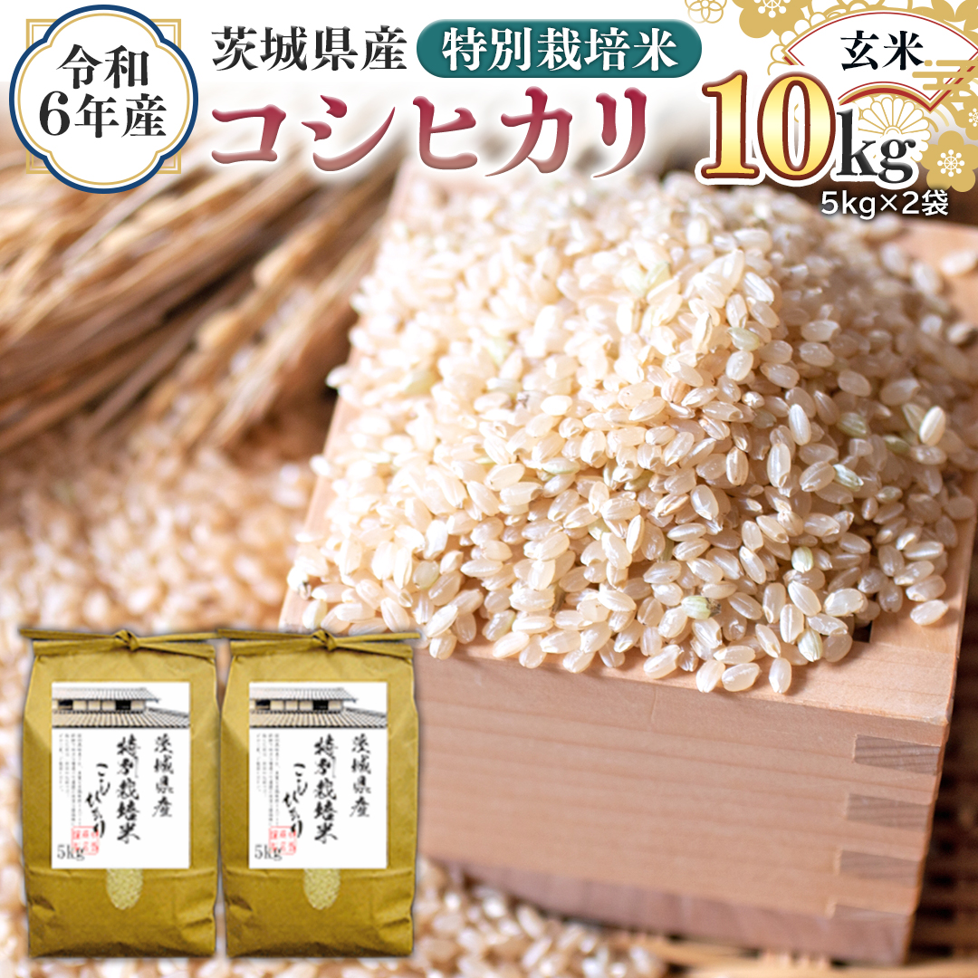 令和6年度 埼玉県産 新米 彩のきずな 玄米20kg 【公式通販】