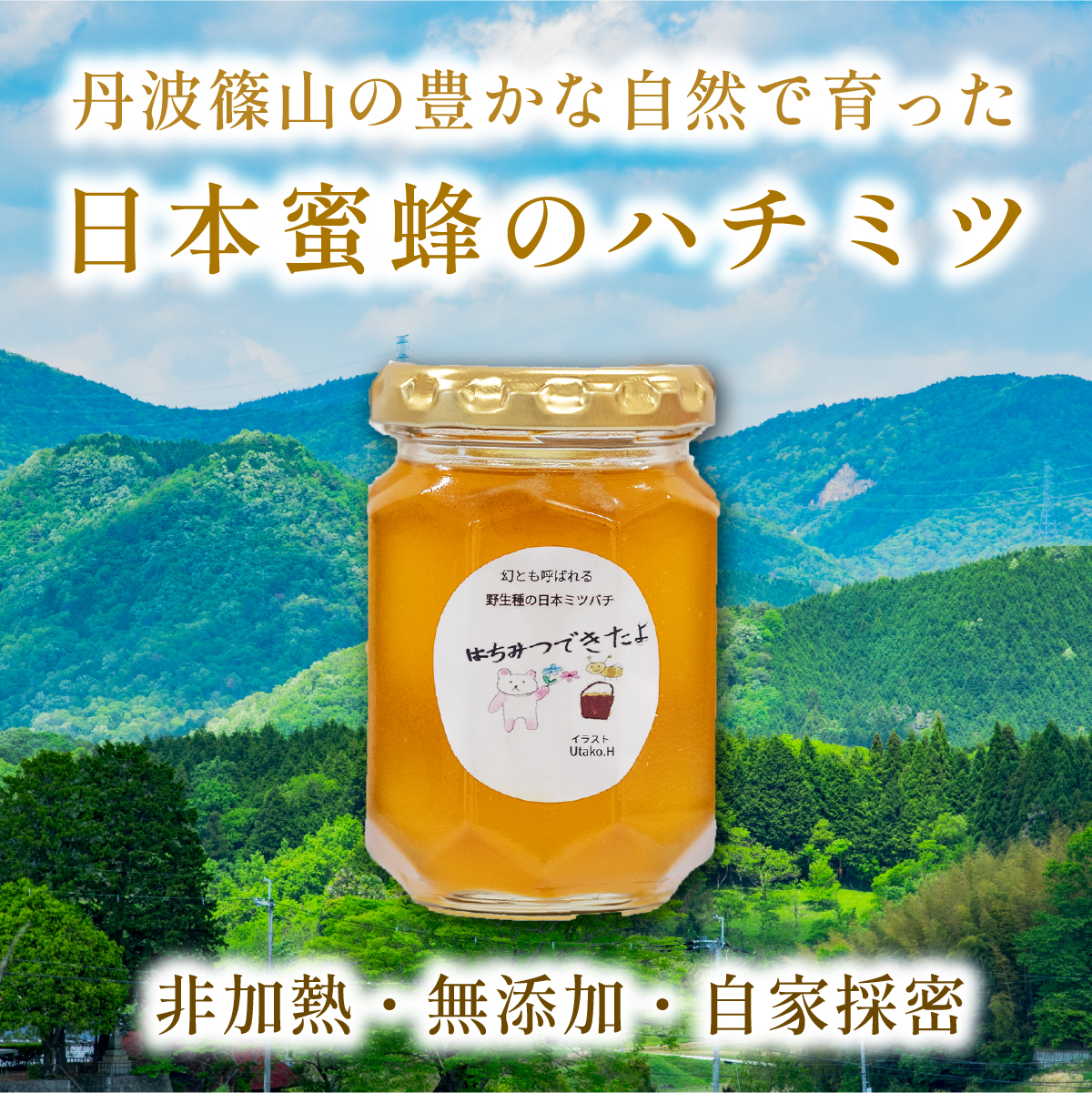 限定数量】職人が守る幻の日本蜜蜂ハチミツ 非加熱 国産 純粋 170g
