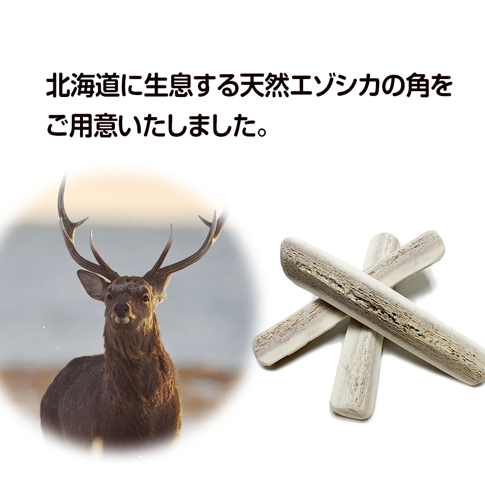 鹿の角 エゾシカ 犬のおもちゃ 『鹿角さん』 小型犬用 先端 1本