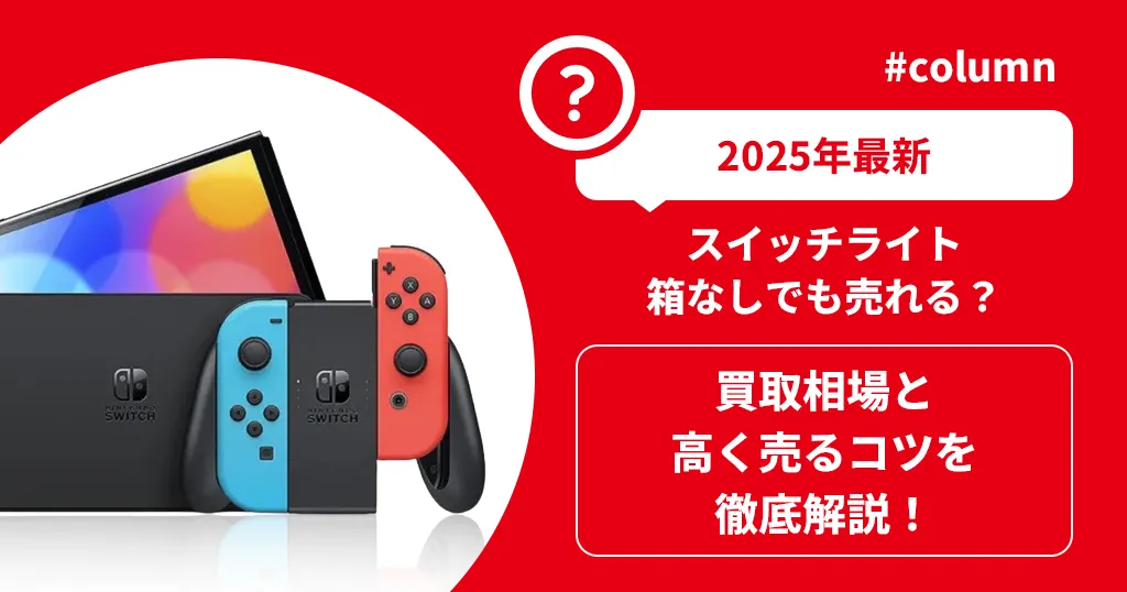 Switch Nintendo Lite グレー(箱有り、充電器無し)＆ケース 箱無し