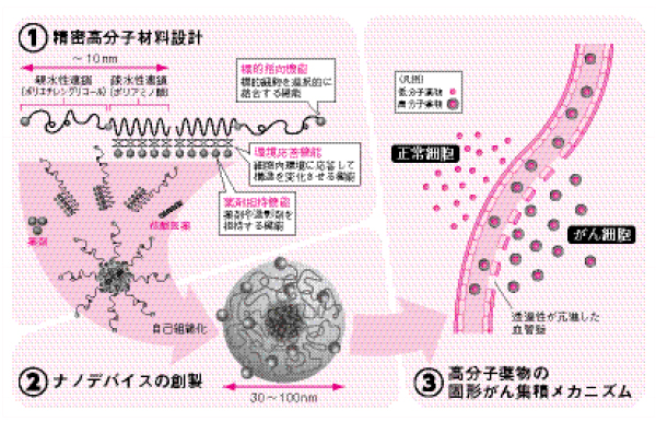 極小カプセルに薬物を装填、副作用を抑え、効率よくがん細胞へ