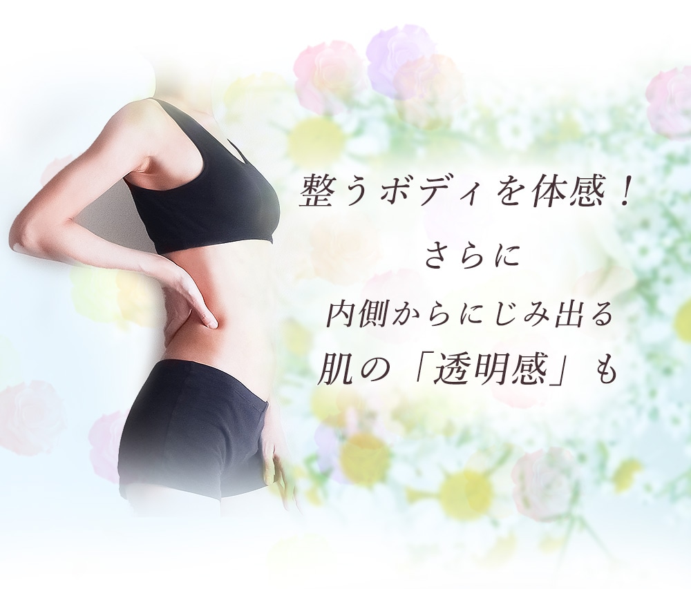 フレクサーシリーズ さとう式リンパケア / トータルヘルスデザイン公式