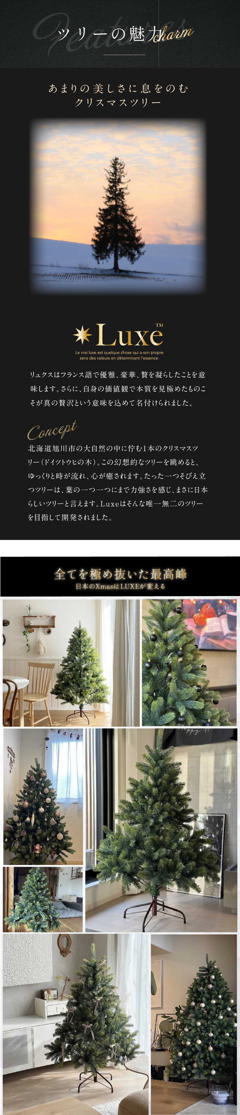 Luxe(TM)正規品 クリスマスツリー オーナメント付き ベツレヘム の星