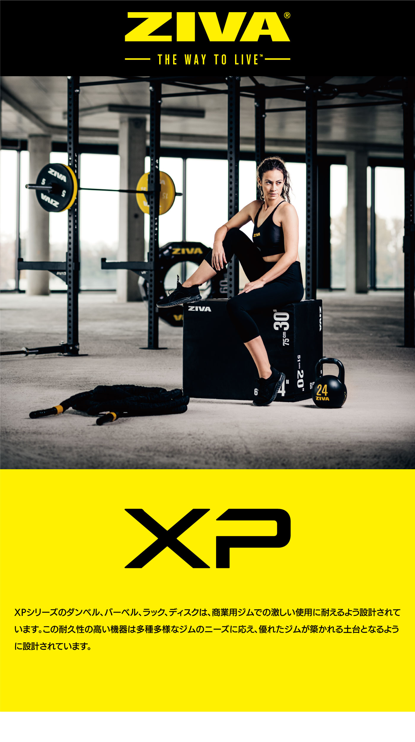 XP RPUグリップディスク14枚セット（1.25kg-25kg）｜業務用