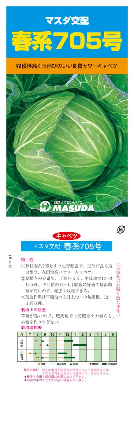 春系キャベツの種なら1925年創業アブラナ科専門 増田採種場